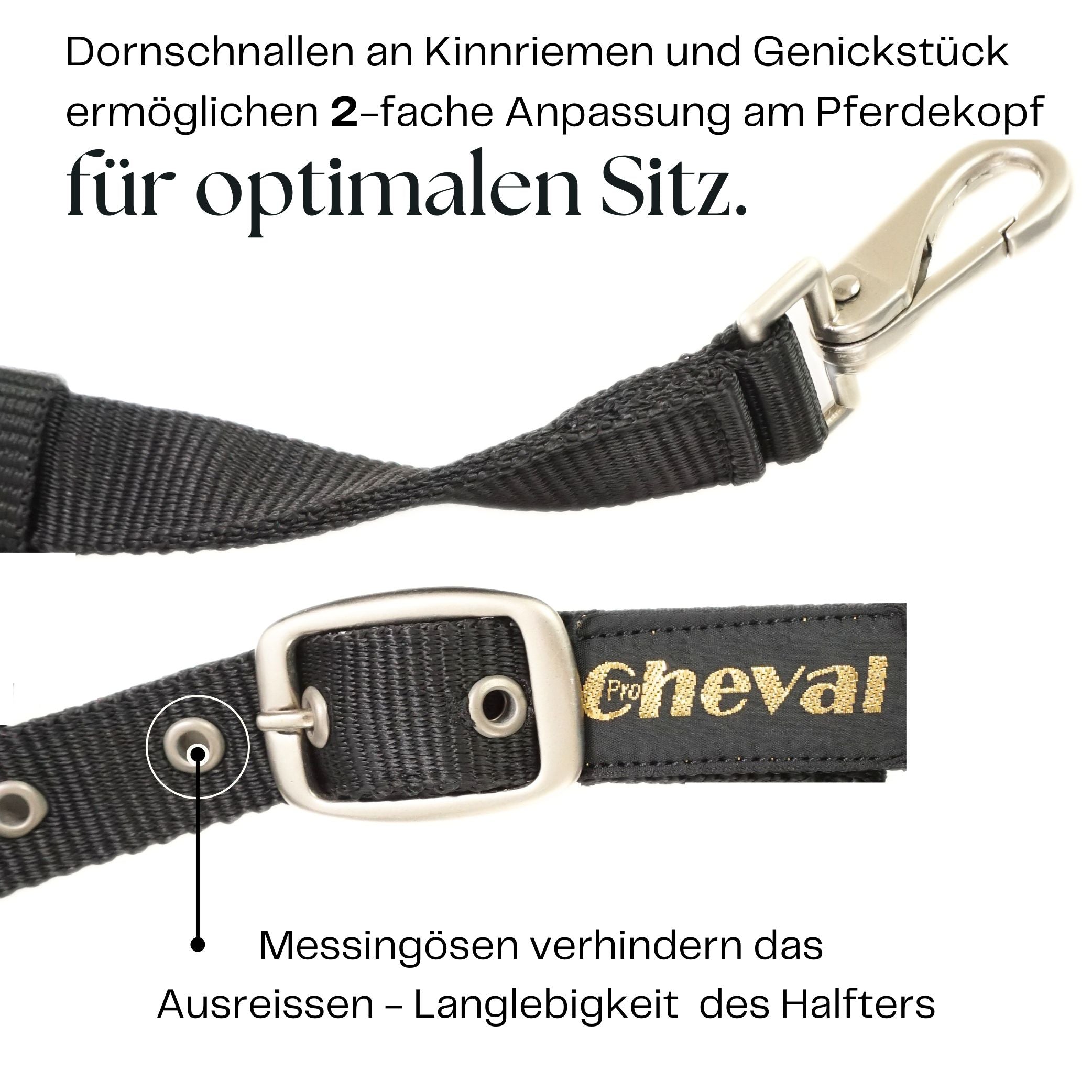 Halfter für Pferde in schwarz mit Strass